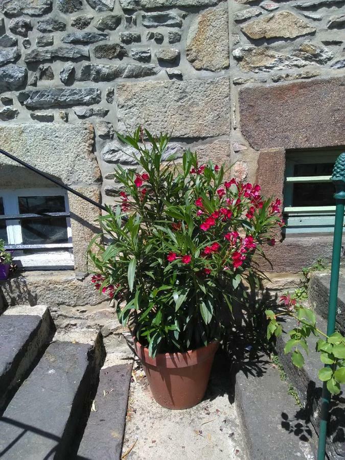 דירות Fresnay-sur-Sarthe Le Refuge Des Alpes Mancelles מראה חיצוני תמונה